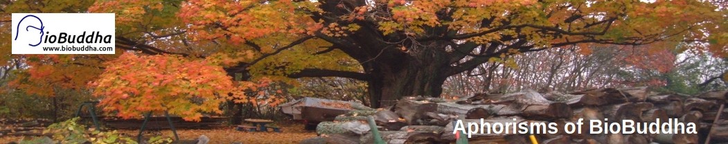 Aphorisms of BioBuddha